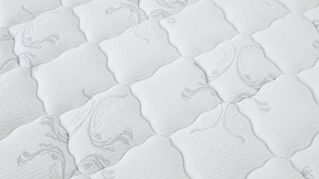 scale_1200 (1) (1).png